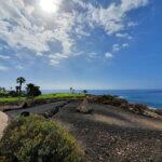 Amarilla-IMG_0265-150x150