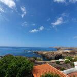 Amarilla-IMG_0267-150x150