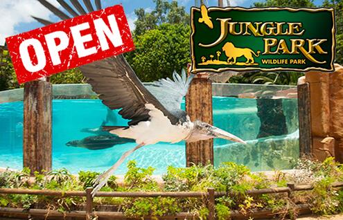 Dschungel-Park-09-20