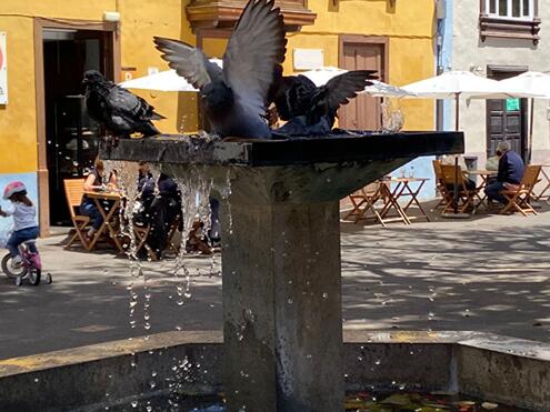 Nachrichten-April-21-30