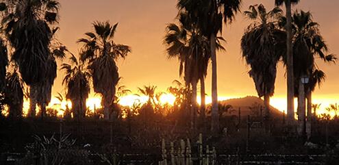 Nachrichten-Juni-20-a4