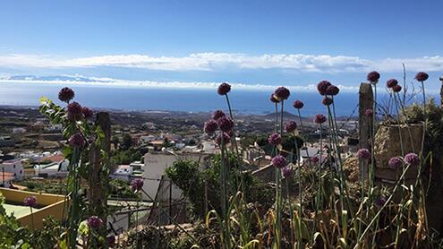 Nachrichten-Juni-20-a2