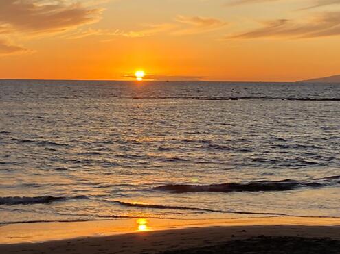 TPS-SceneryImages-2020-24