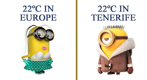 19C-Nov20-Minionen