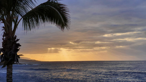 Nachrichten-April-21-13